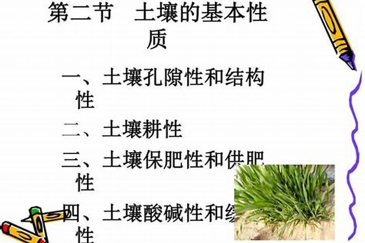 怎样做能让土壤变得肥沃