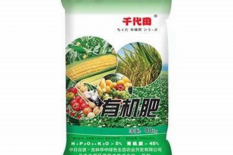 毛芋生芽了可以吃吗