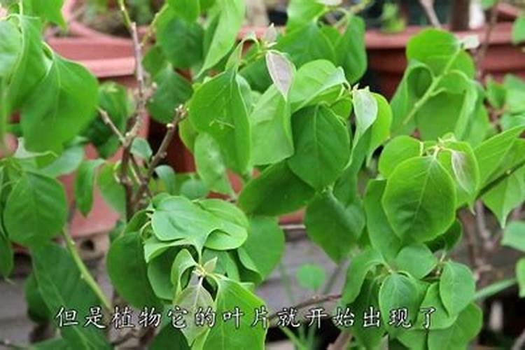 甘肃禾坤农业科技有限公司怎么样？