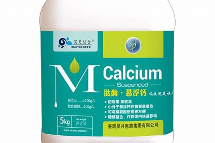 孔雀竹芋能不能水培吗 孔雀竹芋的水养方法和注意事项