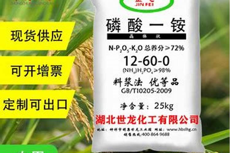 什么是泡椒
