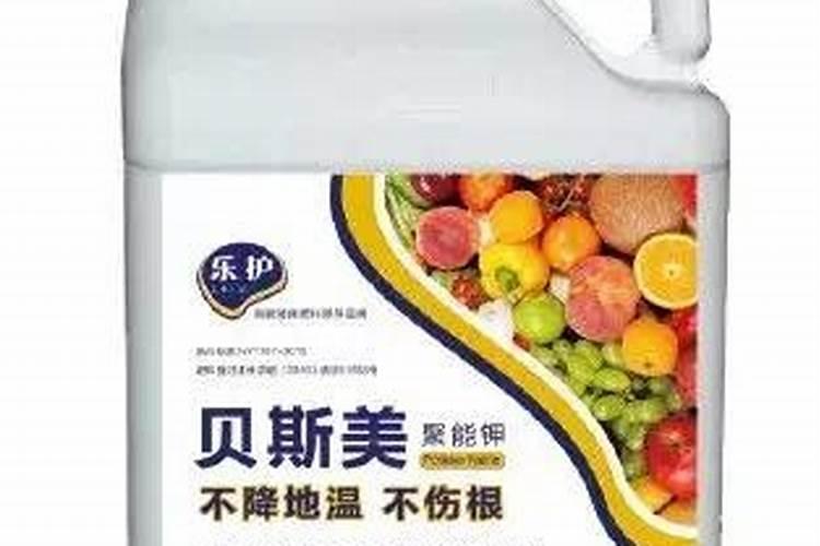 春夏月季施肥以水溶磷钾肥为主效果更好