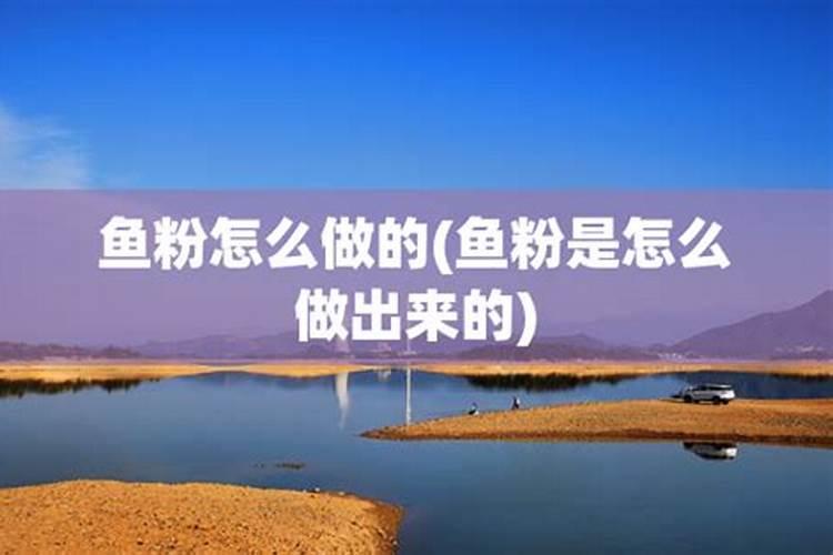鱼粉怎么提取胶原蛋白最快