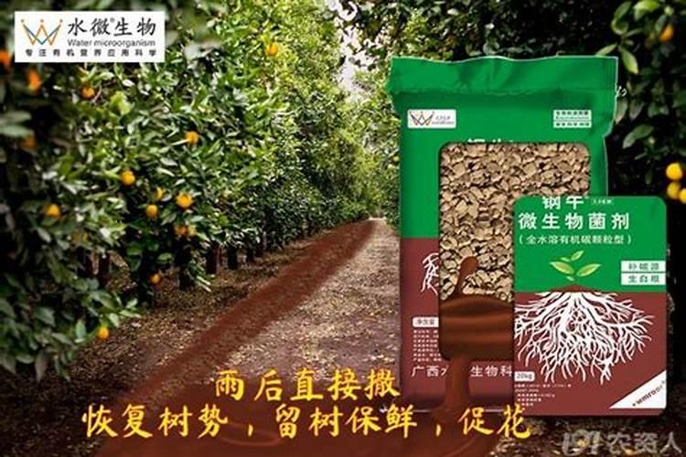 种植半夏每亩要多少种子