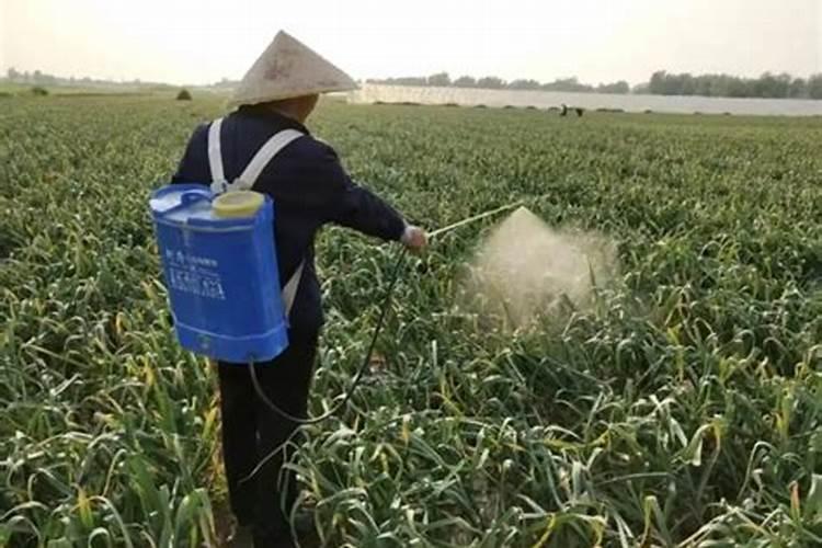 加入KSCN溶液无现象,将所得的溶液加入饱和氯水中,无血红色,则溶液中一...