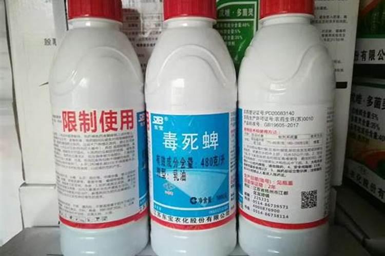 玉米田刚打了杀虫剂几天才能打除草剂