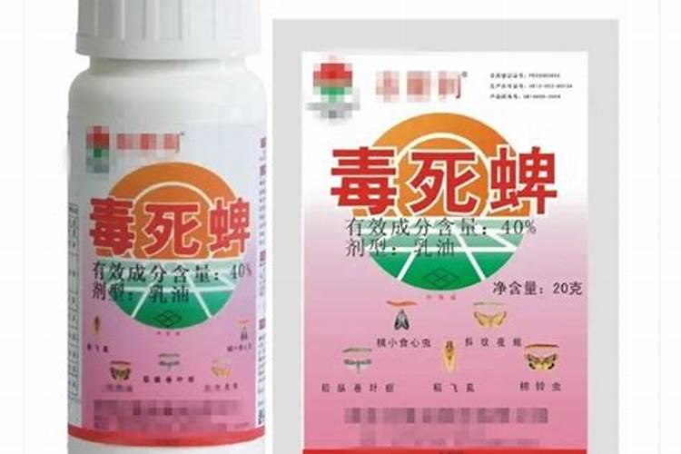 玉米田刚打了杀虫剂几天才能打除草剂