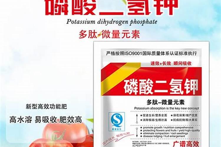 小马蚁(绿四方)怎么叶面肥每亩用量