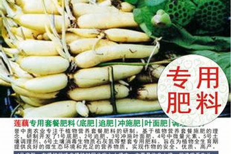 种藕用哪种肥料好