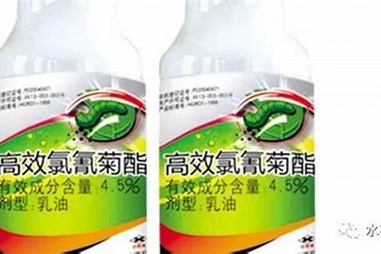 金边瑞香带花苞能往叶面喷水吗？