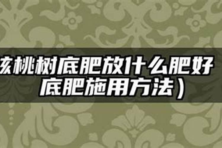 水稻硼肥的作用及使用方法