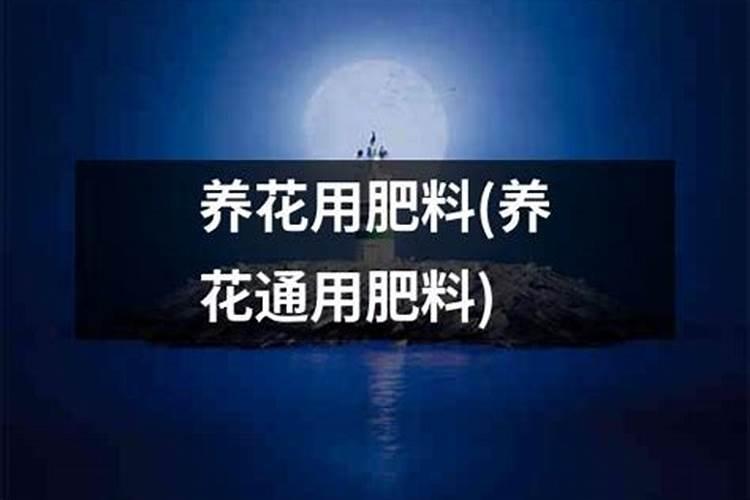 绿萝施肥需施什么肥料