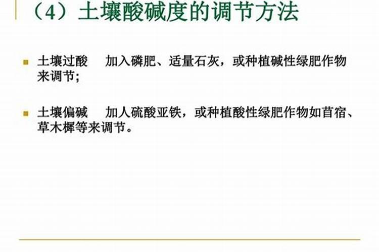 芸苔素和什么叶面肥混用在苗床上比较好？