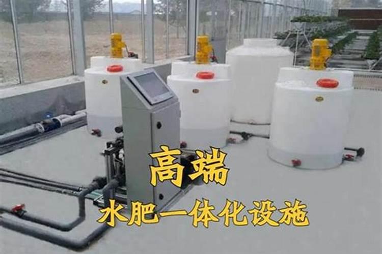 种植菠菜怎么施肥该施什么肥料
