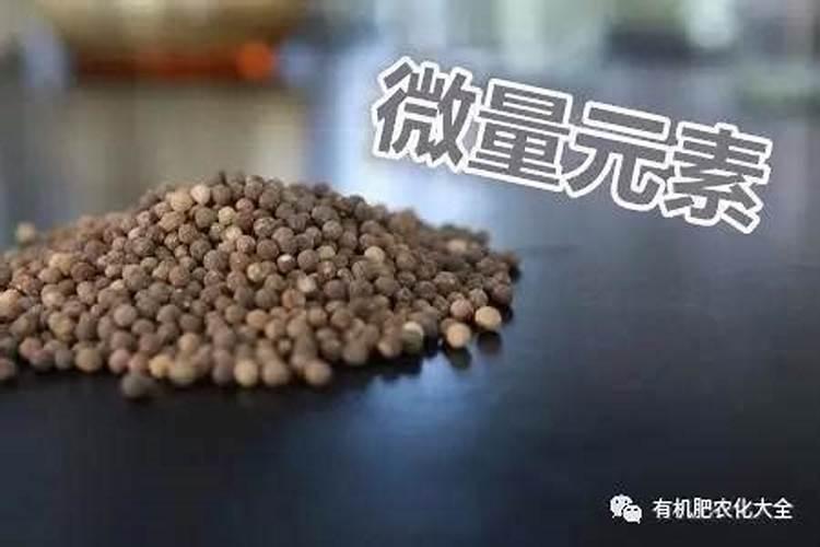 微量元素肥料的种类