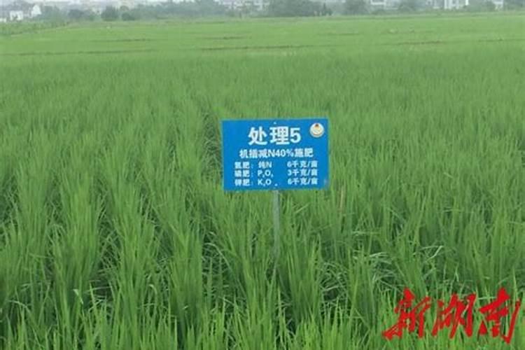 老师一亩花生地氮磷钾肥各多少斤