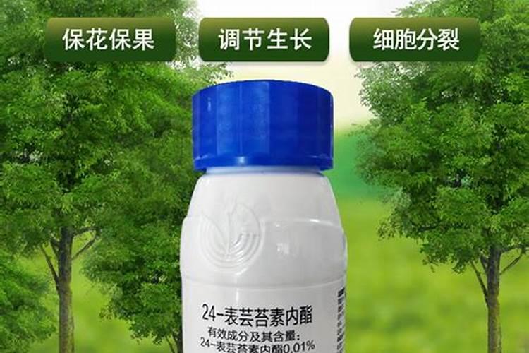 大葱叶子里生虫怎么治？