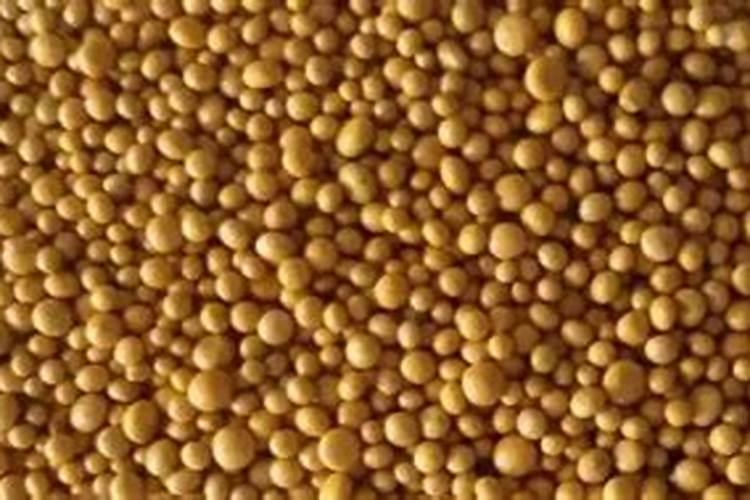 脐橙树叶面上的青苔用什么药防冶？