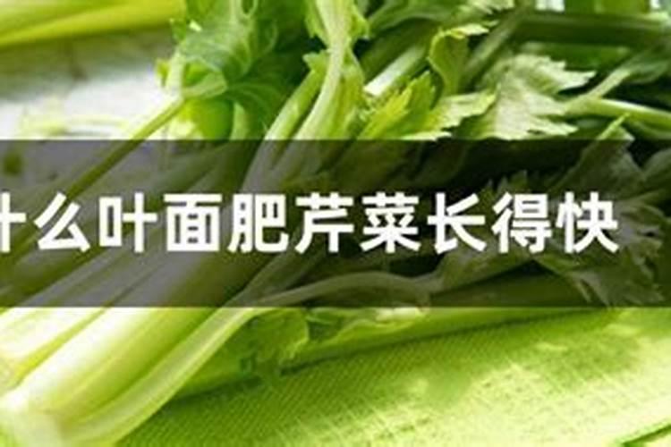 怎样使根茎植物膨大