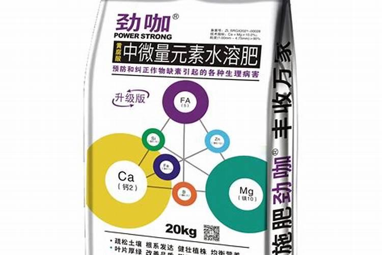 化肥哪里可以批发