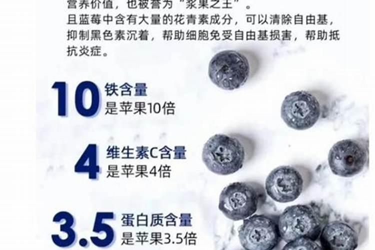 蓝莓的营养价值有哪些？