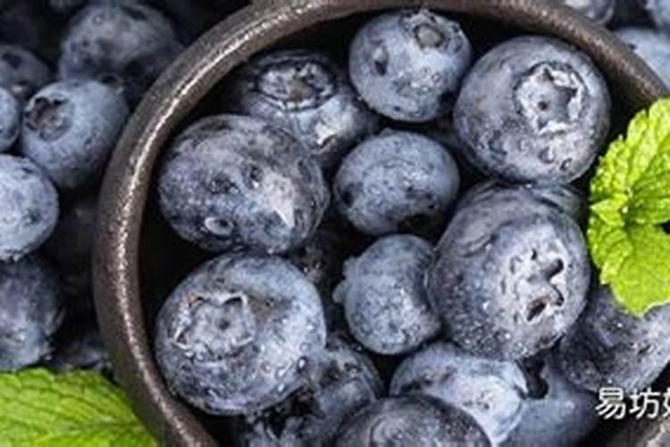 蓝莓的营养成份有哪些