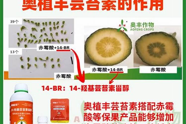 氨基酸肥料的功效与作用,氨基酸肥料和腐殖酸肥料有什么区别