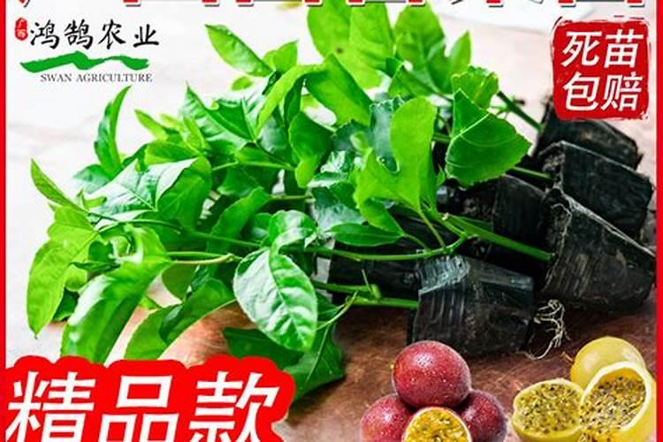 百香果施什么肥料最好