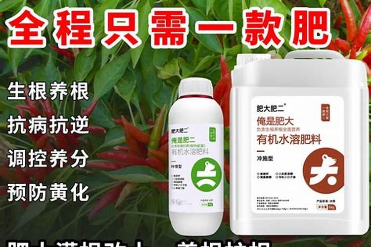 促生根的最佳肥料