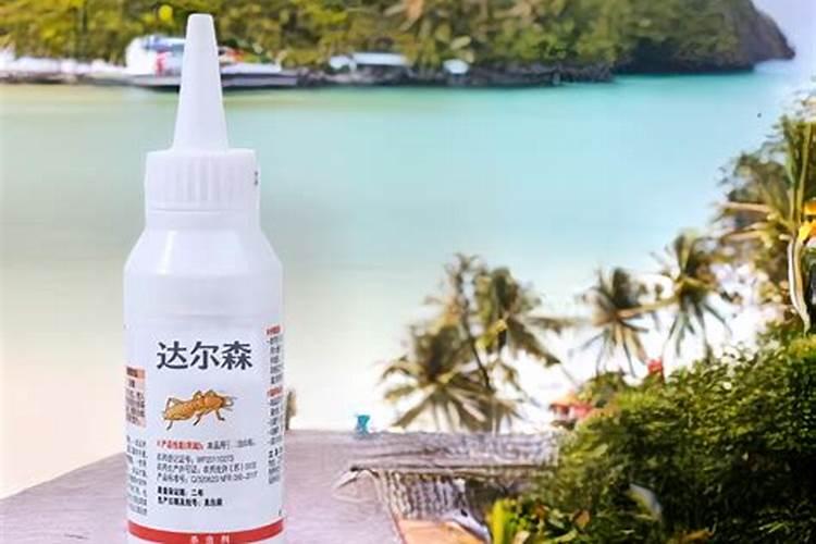 微型月季的嫁接方法(嫁接月季盆景用什么微月)