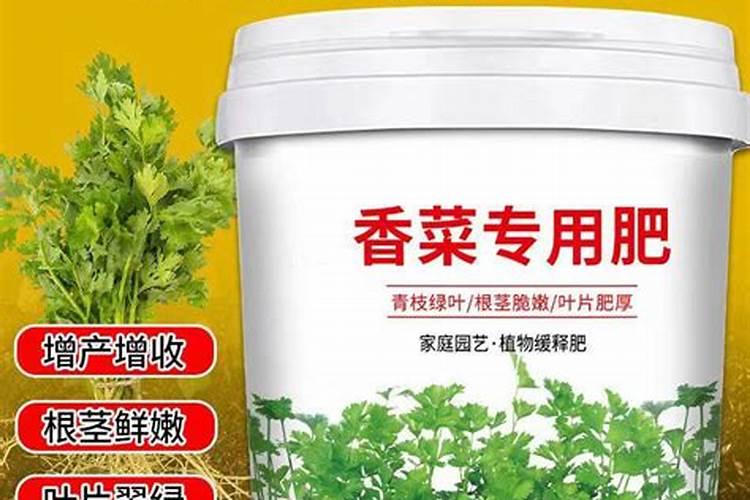 西瓜平衡施肥技术(西瓜的施肥技术)