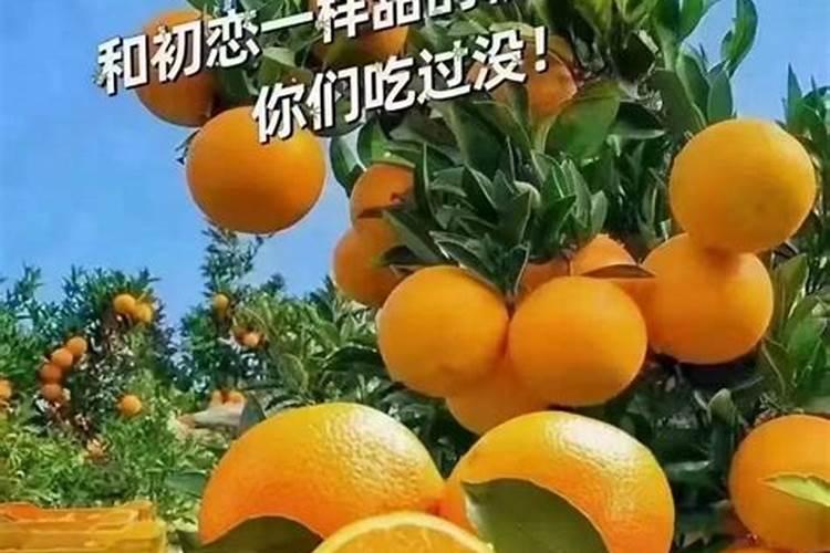 猕猴桃膨大期怎么施肥 猕猴桃施肥技巧总结