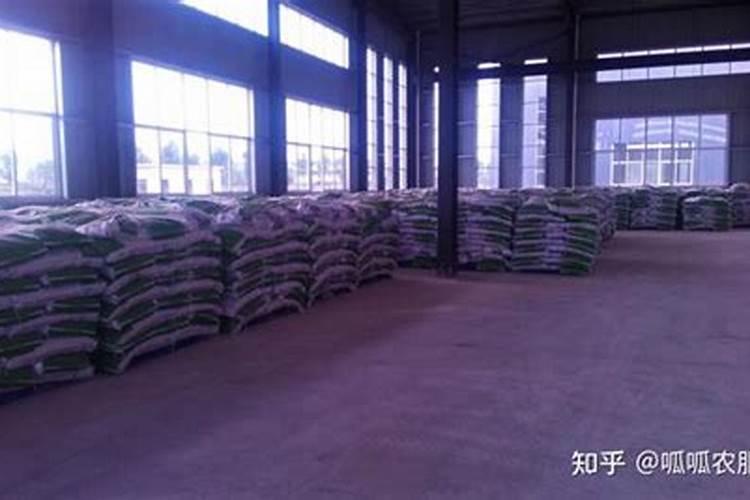 棉花枯黄萎病用什么药