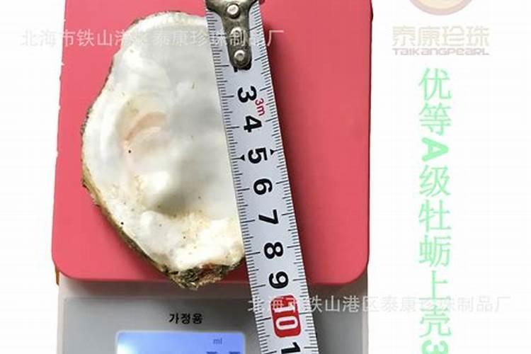 生蚝壳可以用来干嘛
