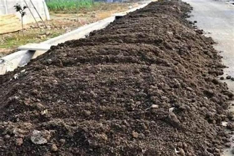 要桔子甜放什么肥料