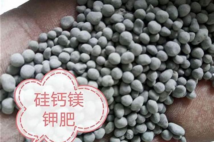 种菜用尿素还是复合肥