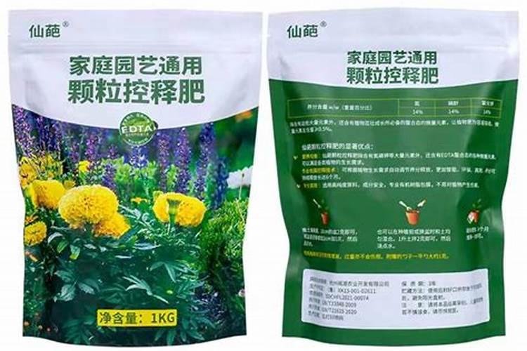 吉娃娃多肉的养植方法施什么肥料,长的太慢,养了二年不见长