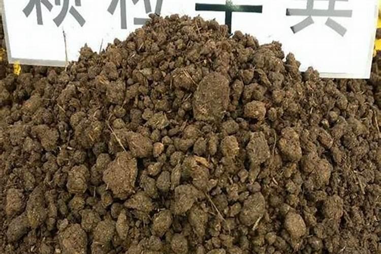 红糖当冲施肥怎么用红糖当冲施肥如何用