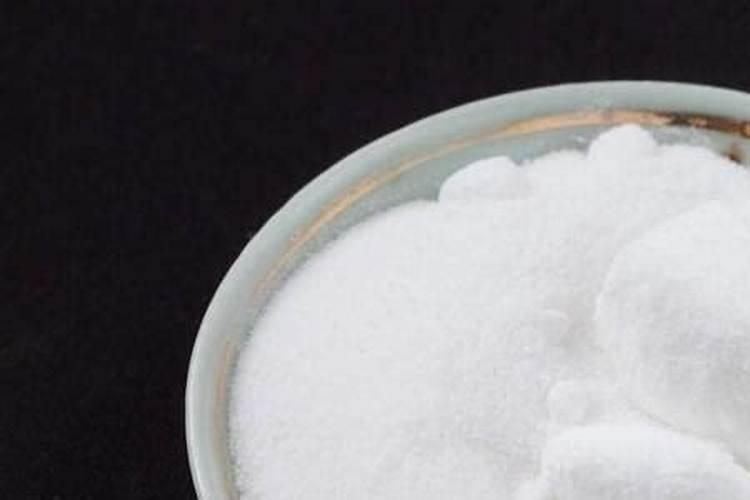 水栽发财树放多少水