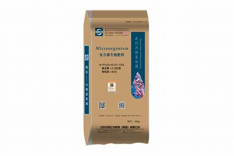月季新芽枯萎枝干发黑怎么办