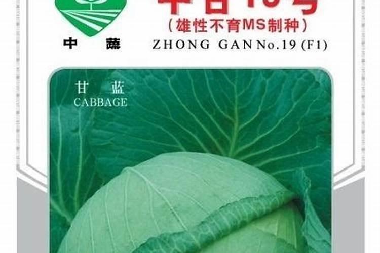 花生喷施硼肥的最佳时间