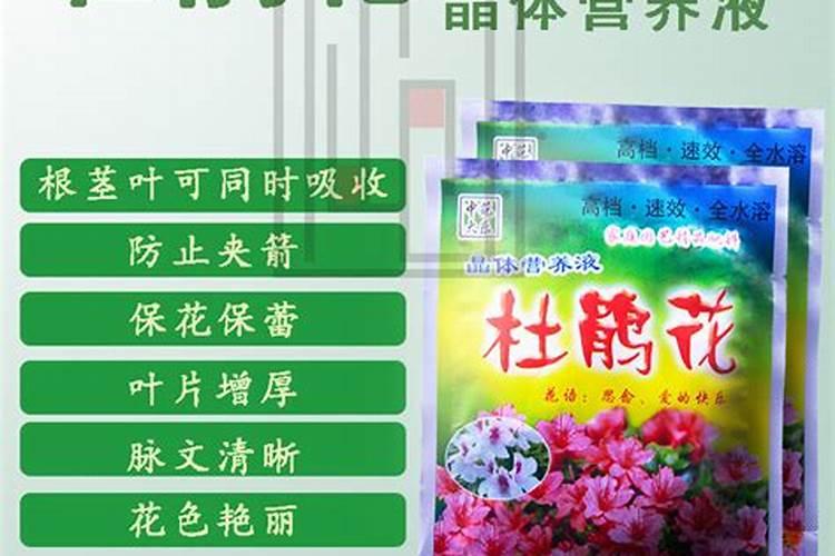 氨基酸叶面肥怎么能够增稠