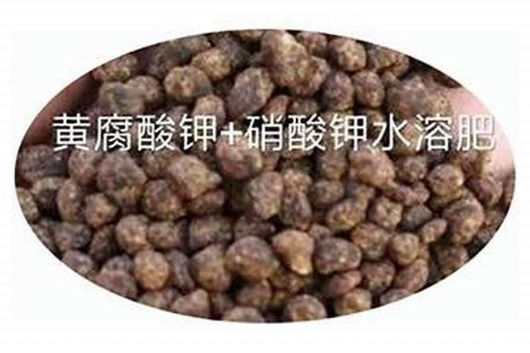 微量元素肥有哪些