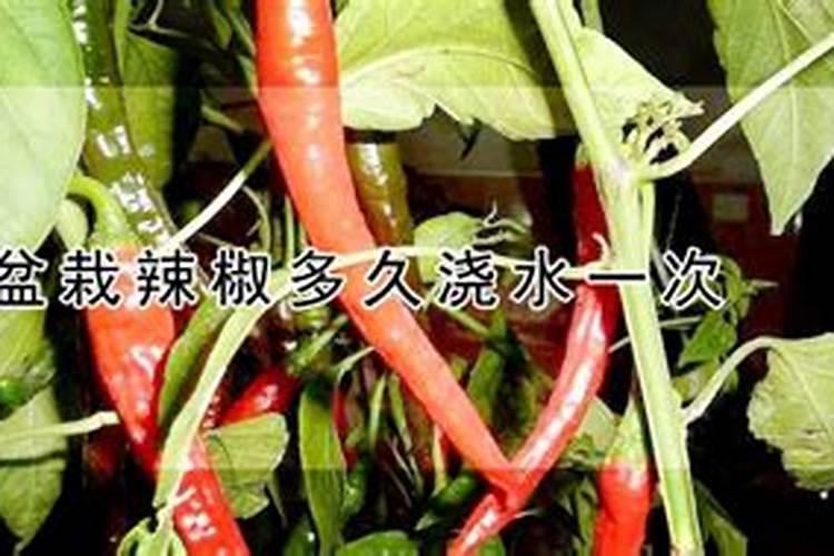 氮肥的简易鉴别中的化学反应方程式有哪些~~列一下如图~
