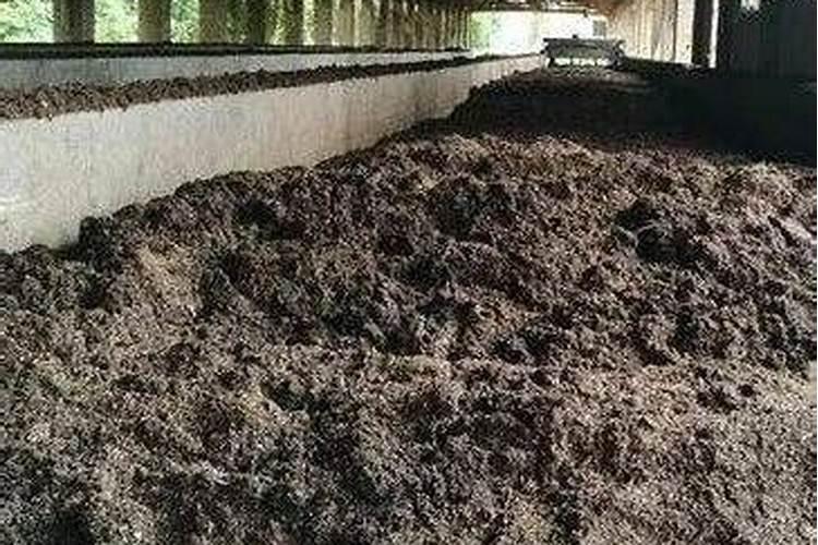 鸡粪,牛粪、猪粪哪个做有机肥效果好？