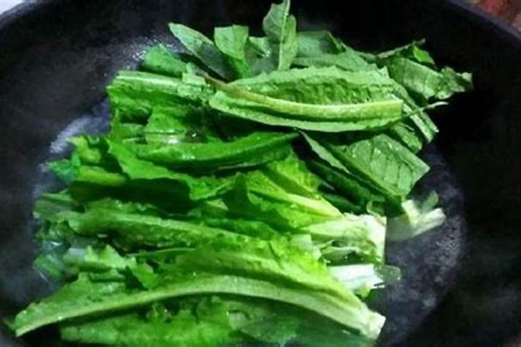 油麦菜病虫害防治技术与方法