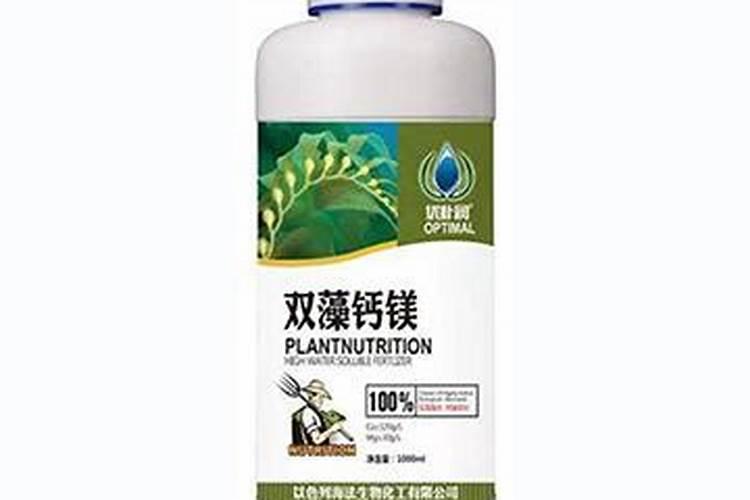 玉米须对玉米的作用