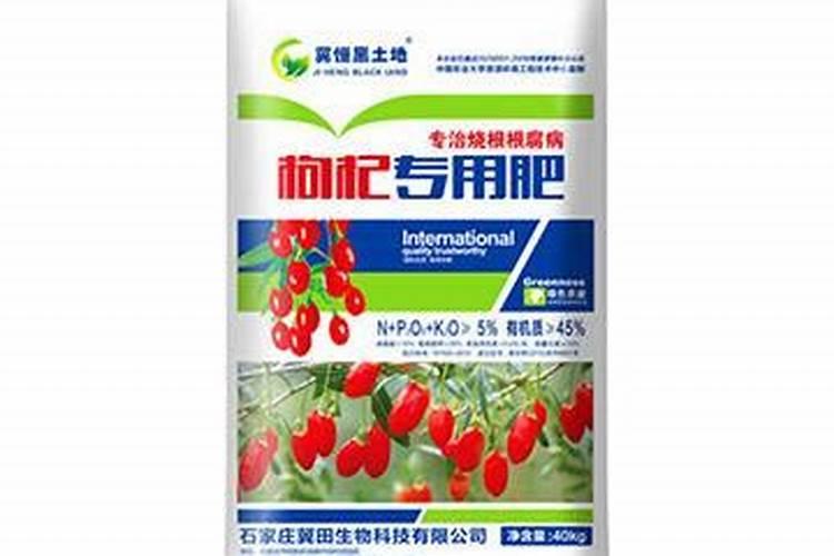 枸杞秋季施肥的方法及要点