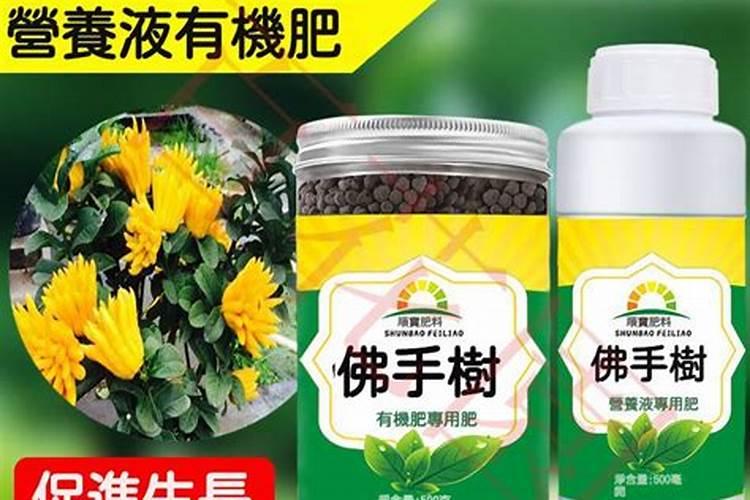 佛手瓜喜肥吗 喜欢施什么肥料