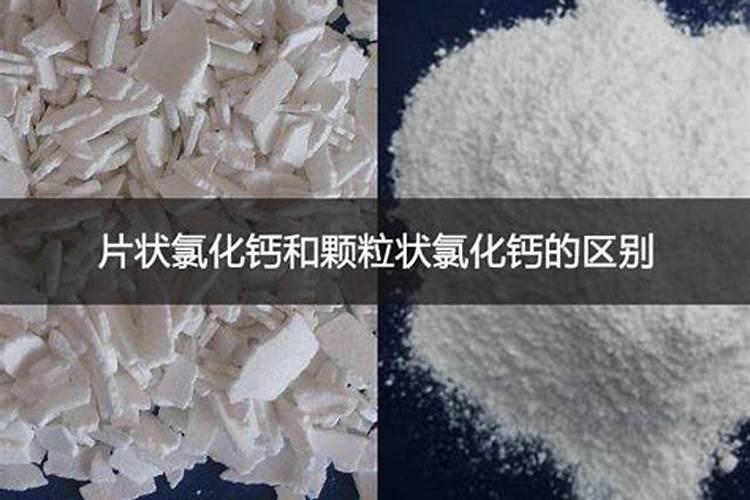 种菜先撒种子还是先浇水